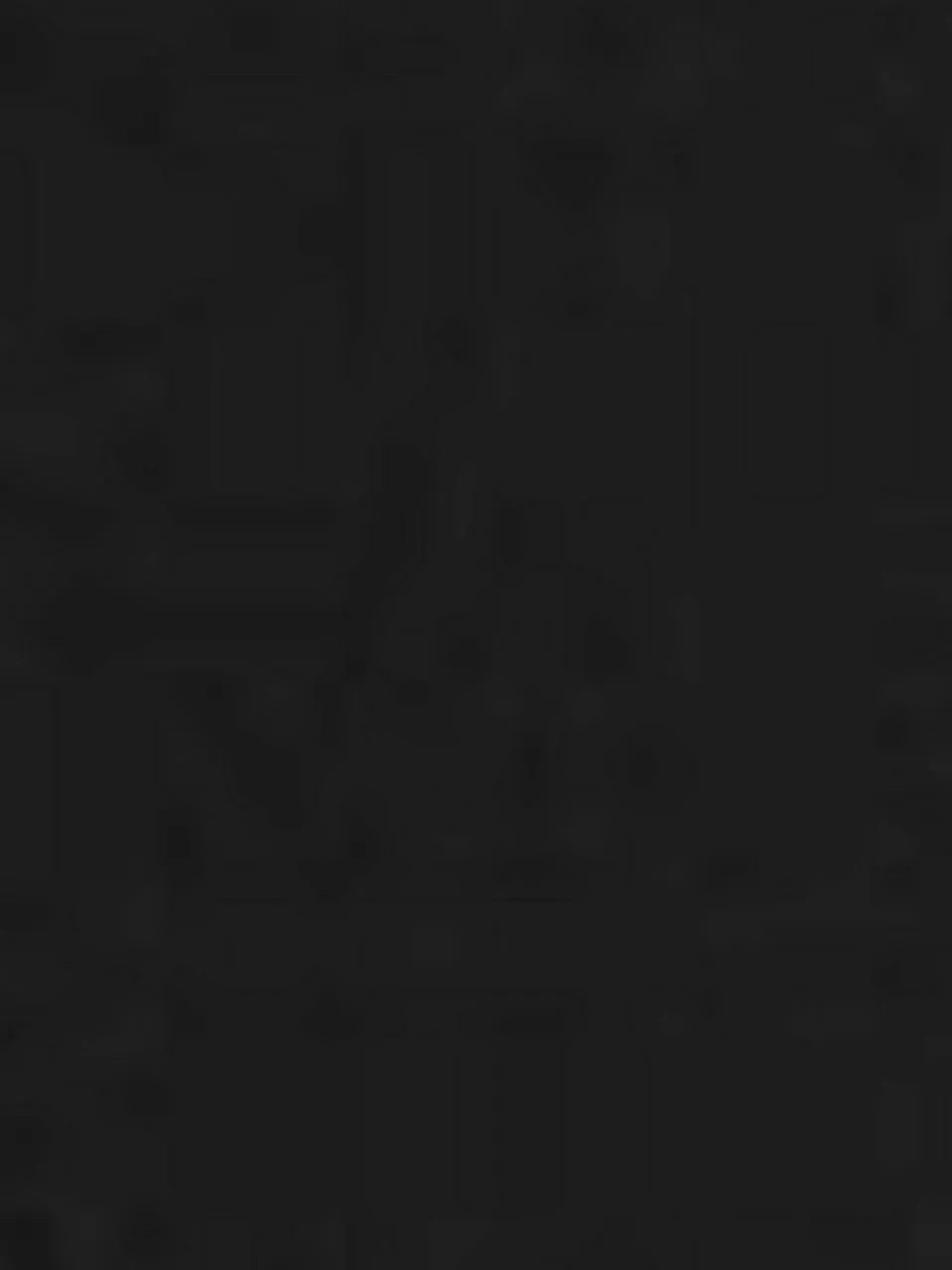 Damen Carlo Colucci Sweatshirts & Sweatjacken>Damen Kapuzensweatshirt - Catania