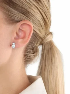 amor Schmuck<Damen Ohrstecker schwarz uni