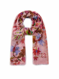 Damen Codello Schals & Tücher><noscript><img width=