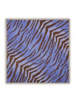 Damen Codello Schals & Tücher><noscript><img width=