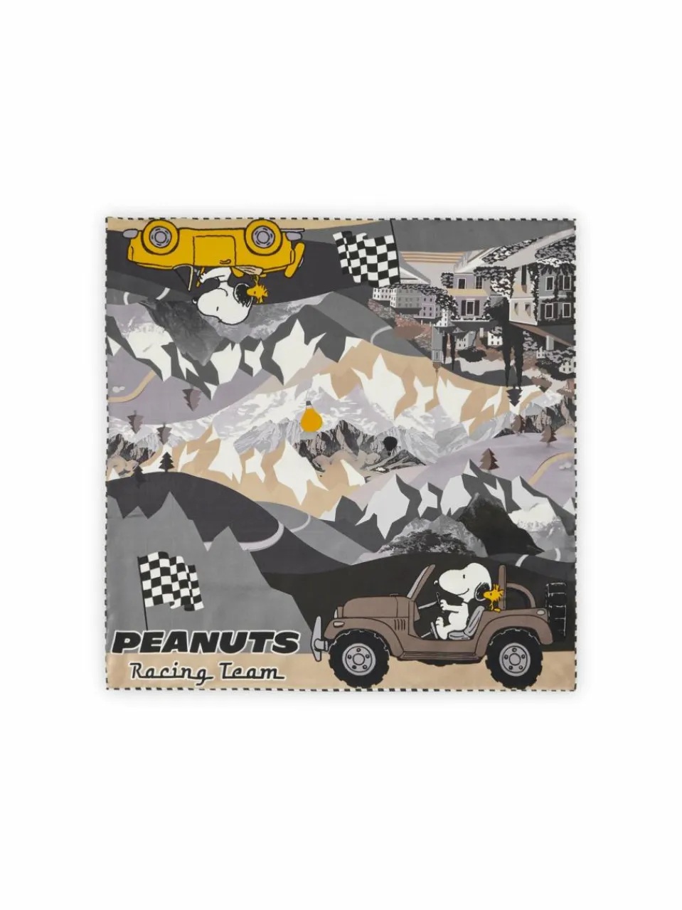 Damen Codello Schals & Tücher>Damen Tuch