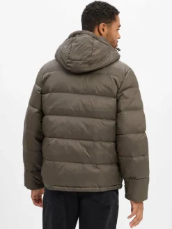 Damen Calvin Klein Jeans Jacken & Westen>Herren Daunenjacke