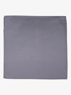 Roy Robson Krawatten & Fliegen<Herren Einstecktuch silber uni