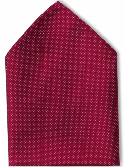 Finshley & Harding London Krawatten & Fliegen<Herren Fliege und Einstecktuch aus Seide bordeaux gepunktet