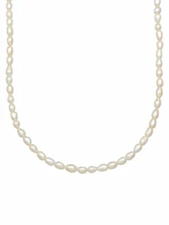 KUZZOI Schmuck<Herren Halskette vanille uni