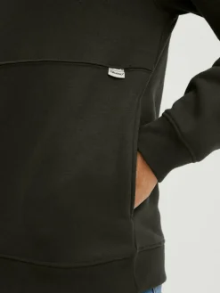 BLEND Sweatshirts & Sweatjacken<Herren Hoodie grün bedruckt