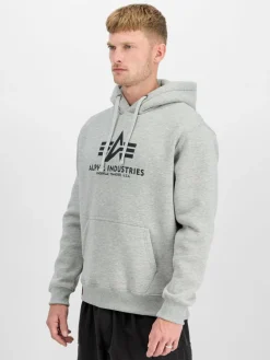 Alpha Industries Sweatshirts & Sweatjacken<Herren Kapuzensweatshirt grau bedruckt