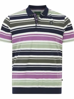Charles Colby Poloshirts<Herren Poloshirt - EARL MORTBERT mehrfarbig gestreift
