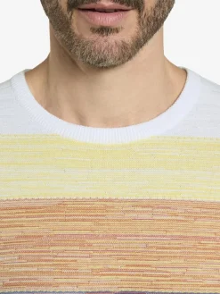 BABISTA Pullover & Strickjacken<Herren Pullover - CARIENO blau gelb gestreift