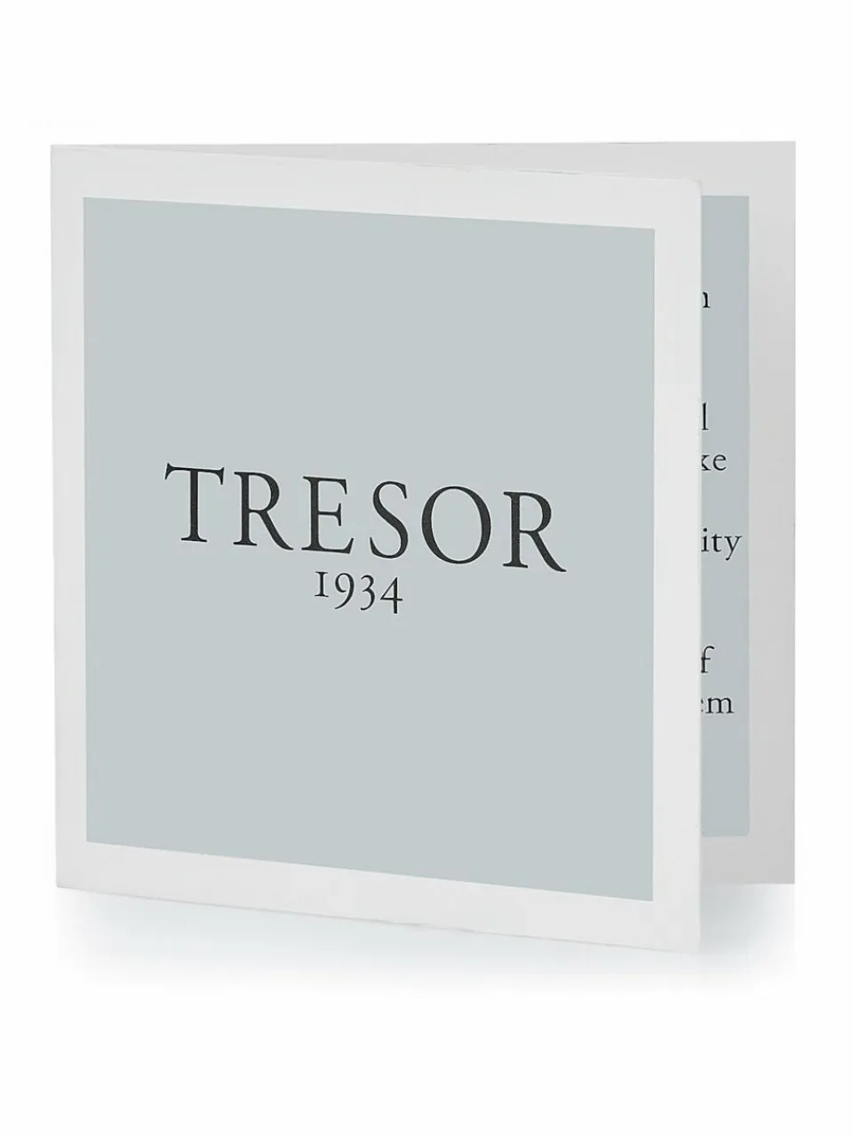 Trilani Schmuck<Herren Ring silber uni