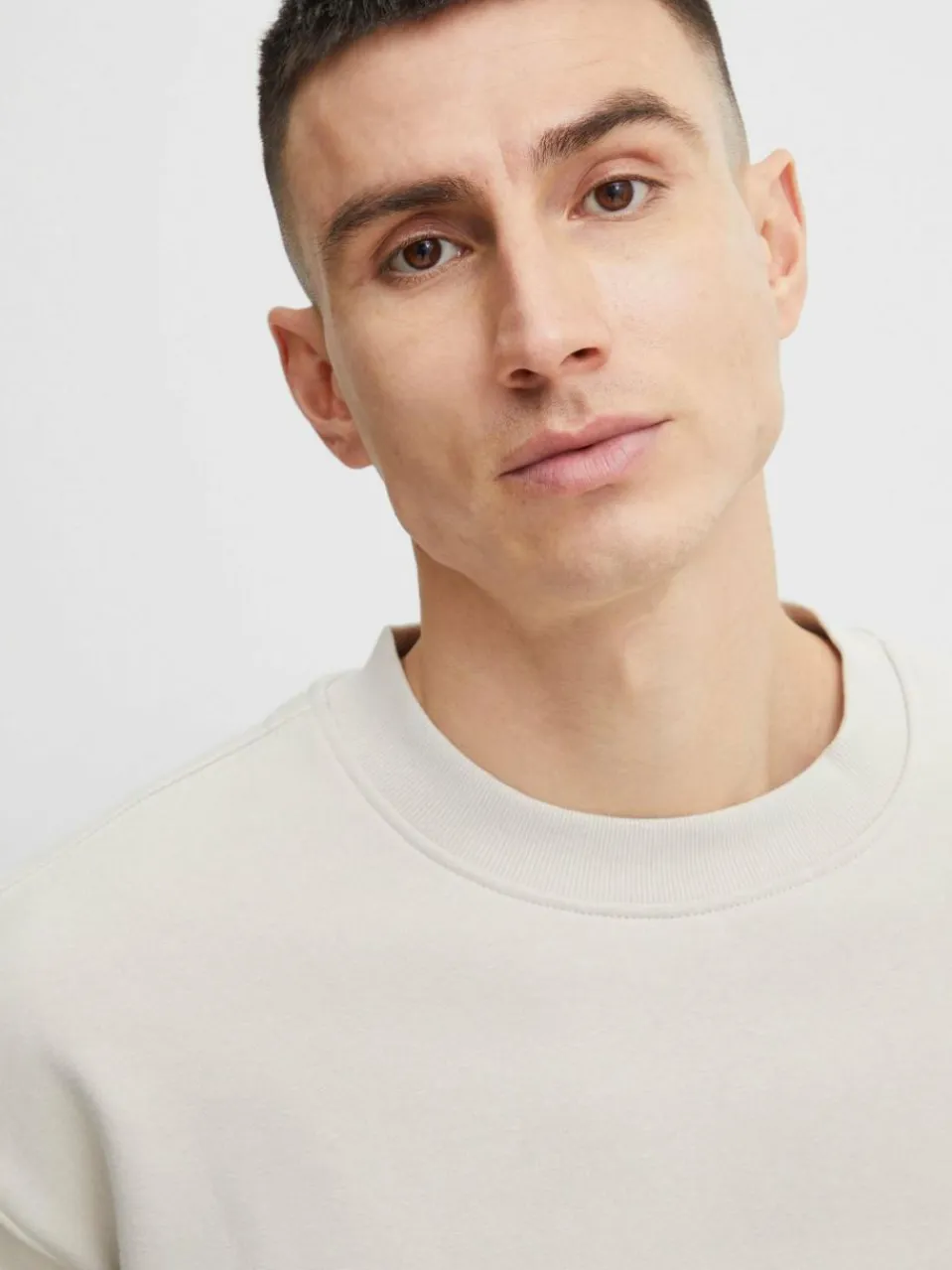 Solid Sweatshirts & Sweatjacken<Herren Rundhalspullover - SDLenz beige uni