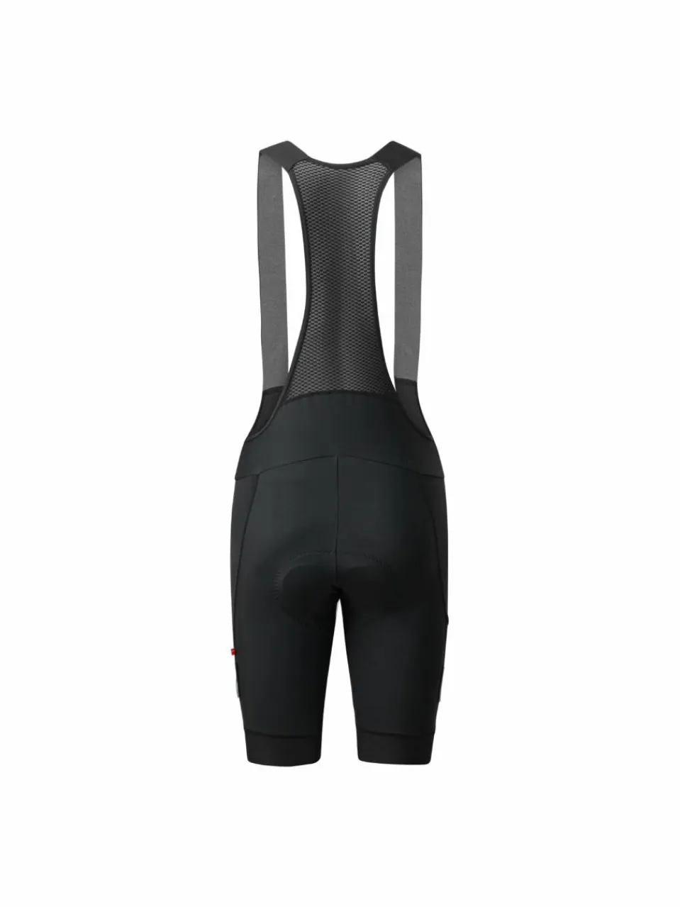 Herren DANISH ENDURANCE Hosen>Herren Shorts