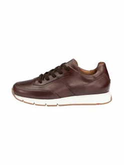 Lloyd Sneaker<Herren Sneaker - AMSTERDAM braun uni