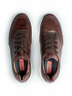 Lloyd Sneaker<Herren Sneaker - AMSTERDAM braun uni