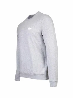 Lacoste Sweatshirts & Sweatjacken<Herren Sweatshirt grau uni