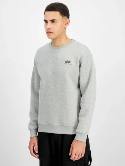 Alpha Industries Sweatshirts & Sweatjacken<Herren Sweatshirt grau bedruckt