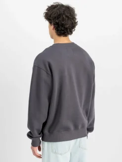 Alpha Industries Sweatshirts & Sweatjacken<Herren Sweatshirt grau bedruckt