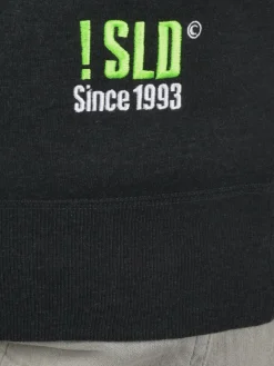 Solid Sweatshirts & Sweatjacken<Herren Sweatshirt - SDBenn grau uni