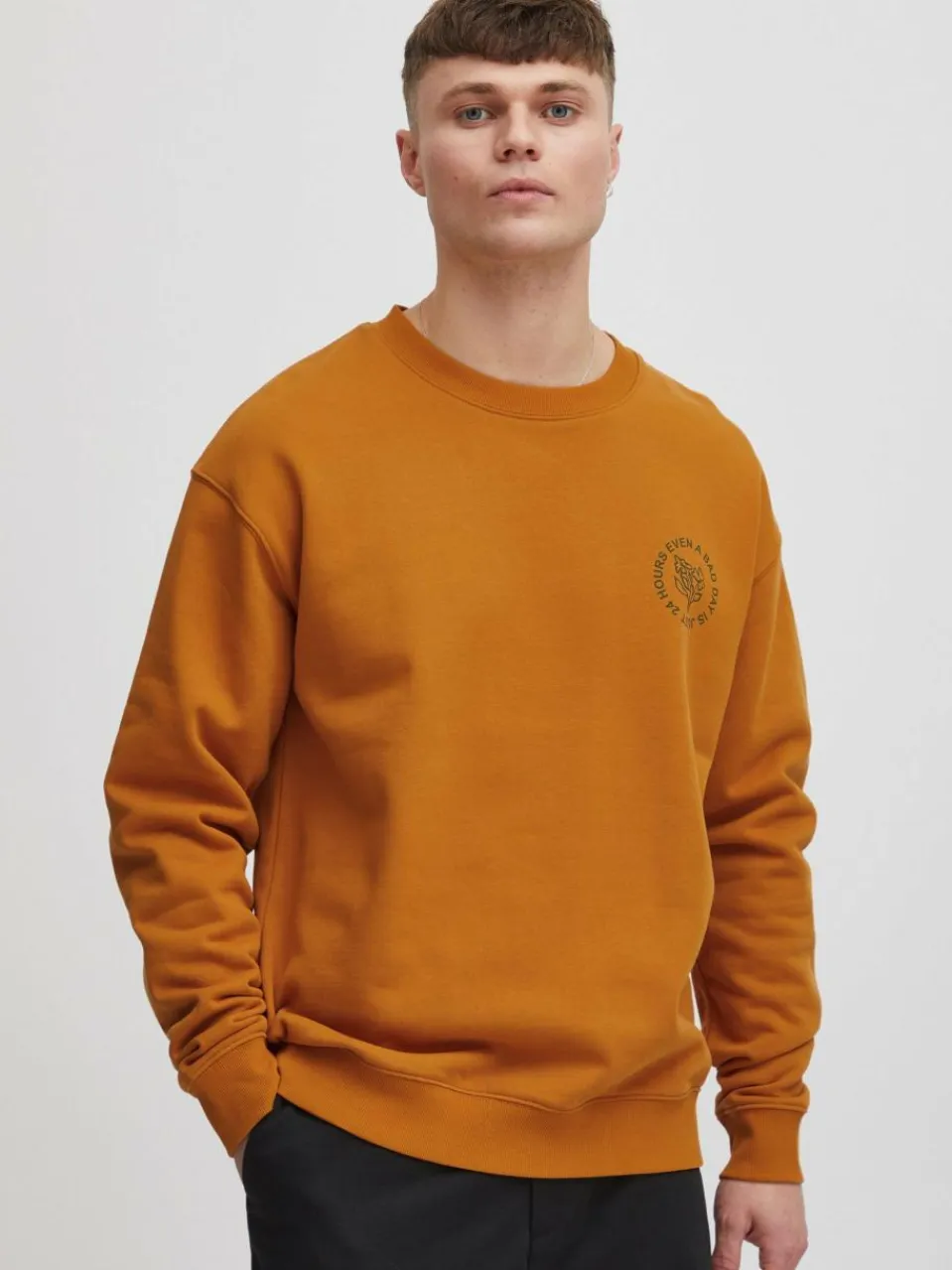 Solid Sweatshirts & Sweatjacken<Herren Sweatshirt - SDGaius braun bedruckt