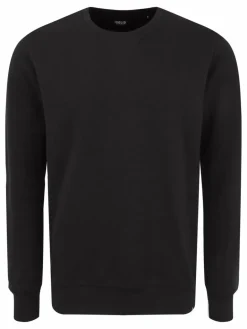 Solid Sweatshirts & Sweatjacken<Herren Sweatshirt - SDTemet schwarz uni