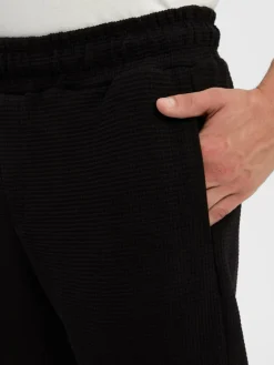 PEGADOR Hosen<Herren Sweatshorts - Signar schwarz strukturiert