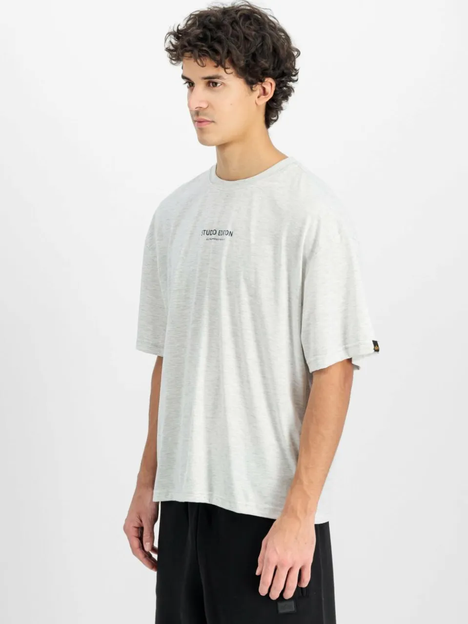 Alpha Industries Shirts<Herren T-Shirt grau bedruckt