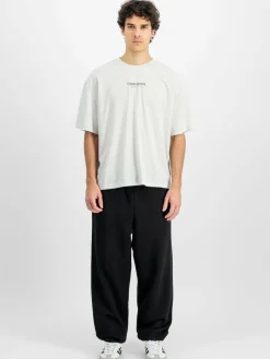 Alpha Industries Shirts<Herren T-Shirt grau bedruckt