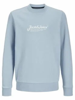 Jack & Jones Junior Jungen>Jungen Pullover