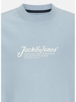 Jack & Jones Junior Jungen>Jungen Pullover
