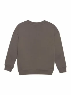 En Fant Jungen<Jungen Rundhalspullover braun uni